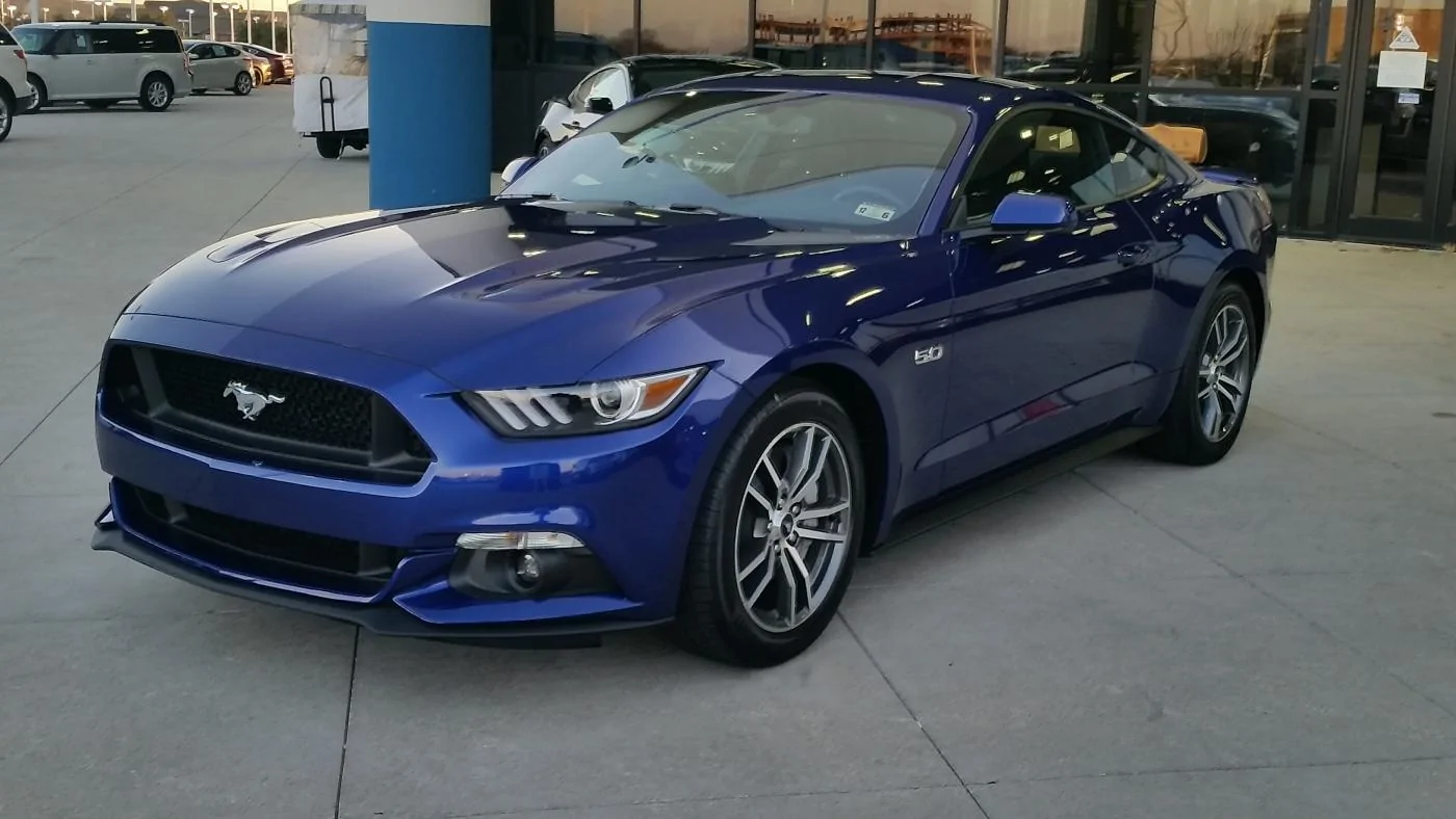 My Mustang 1.webp