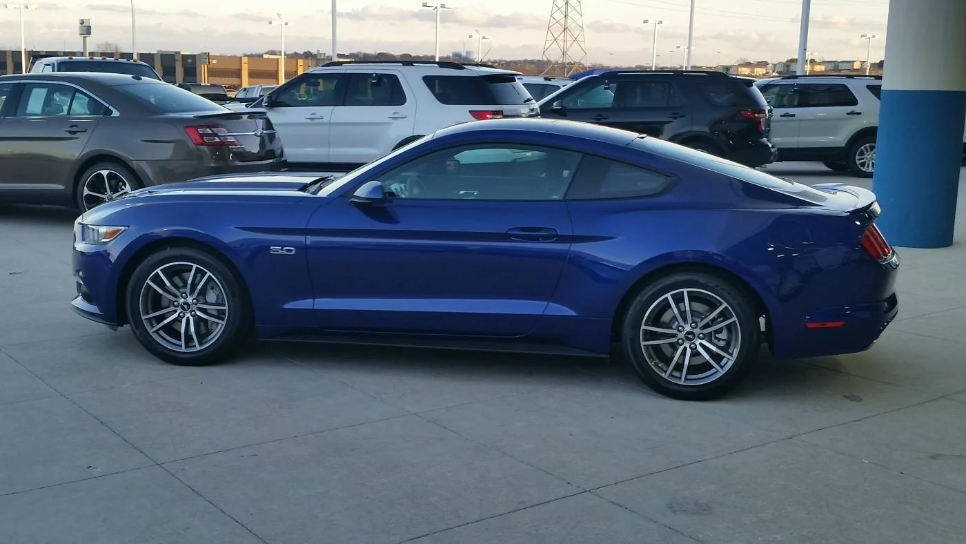 My Mustang 2.webp