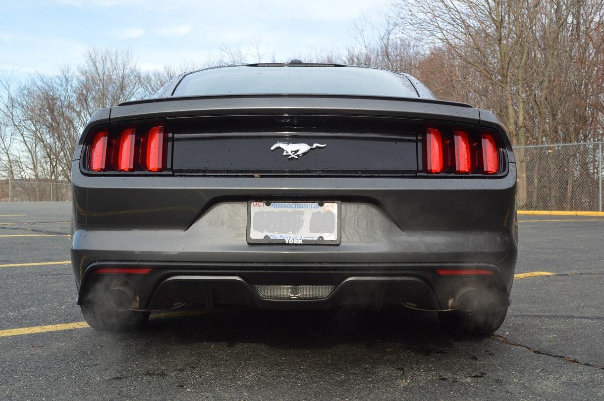 rear.JPG