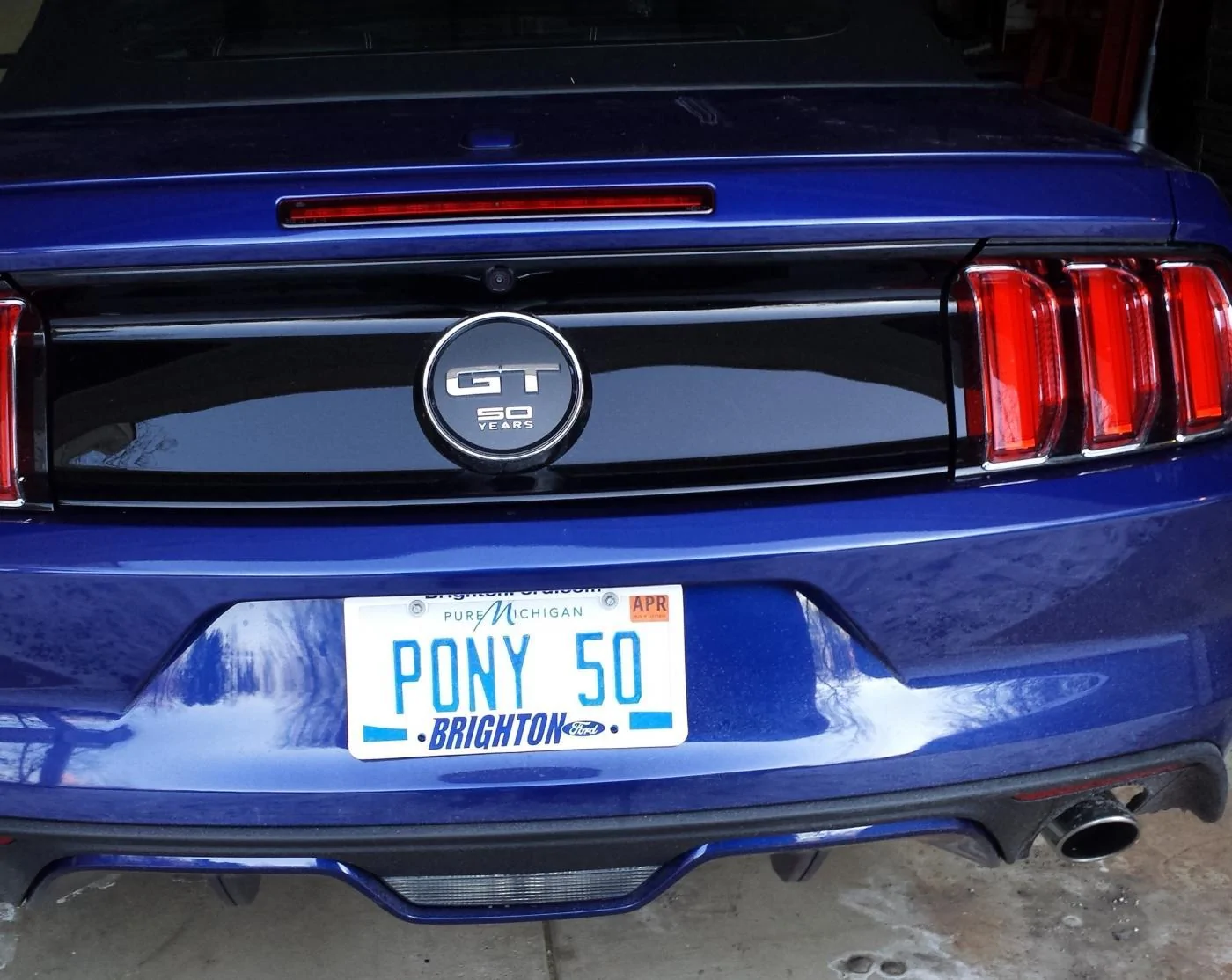pony50.webp