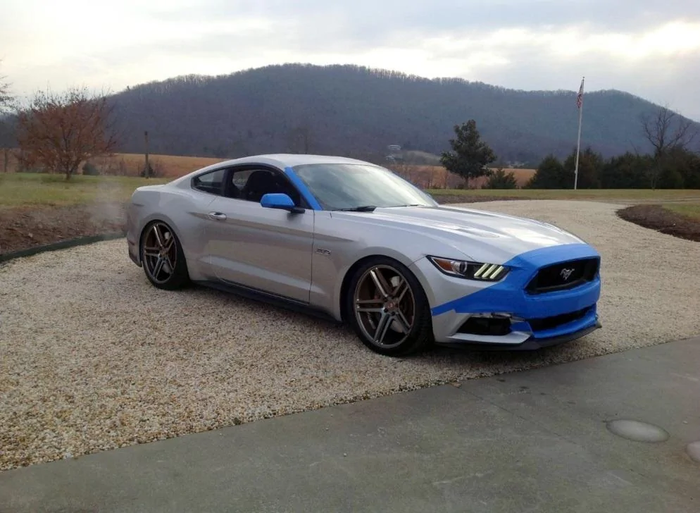 vossen1.webp