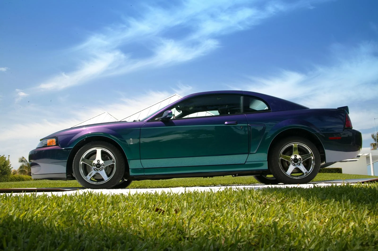 2004-Ford-SVT-Mustang-SVT-Cobra-Mystichrome-1.webp