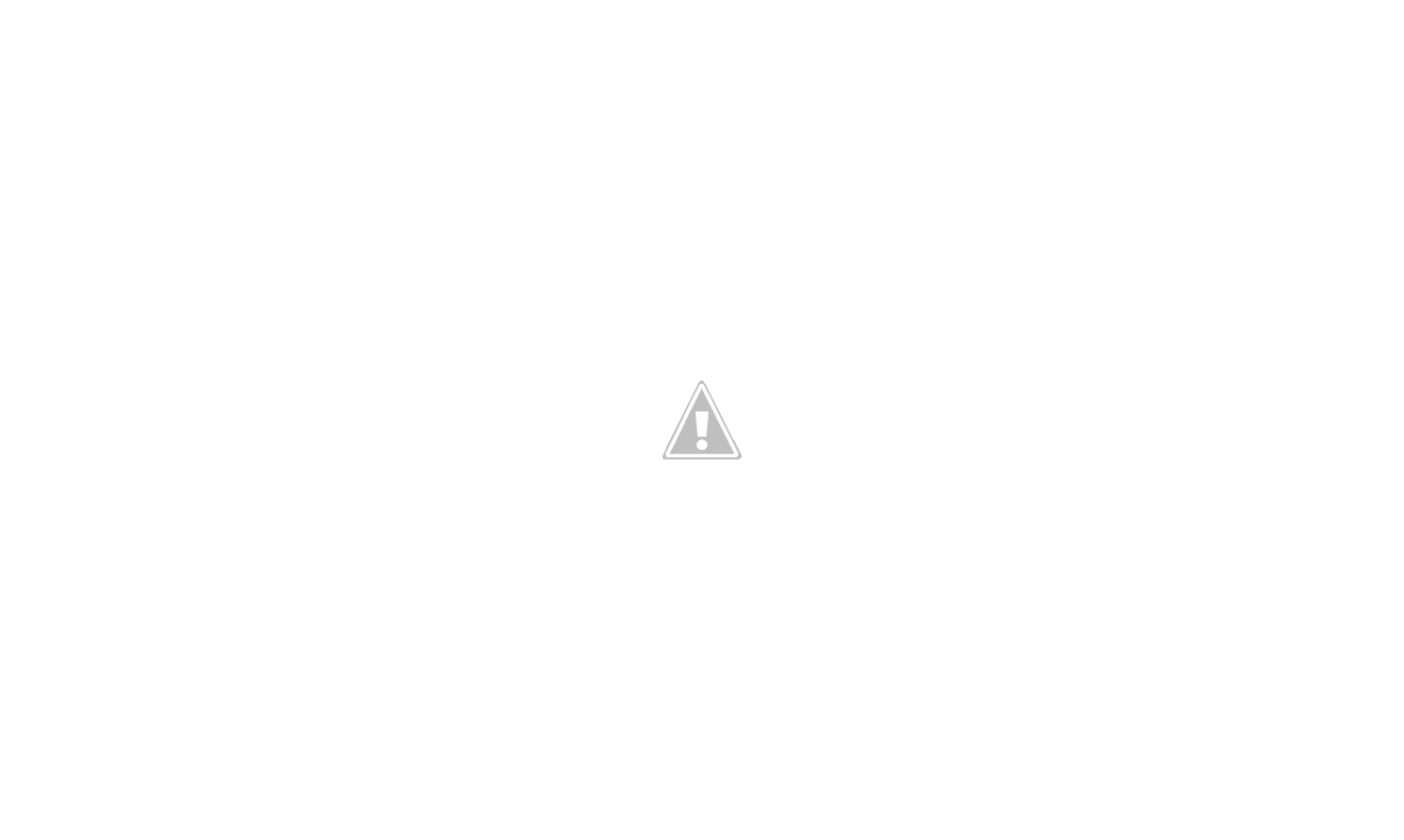 IMAG0203.png