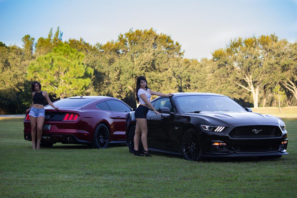 15072730083_90333ca73c_b.jpg