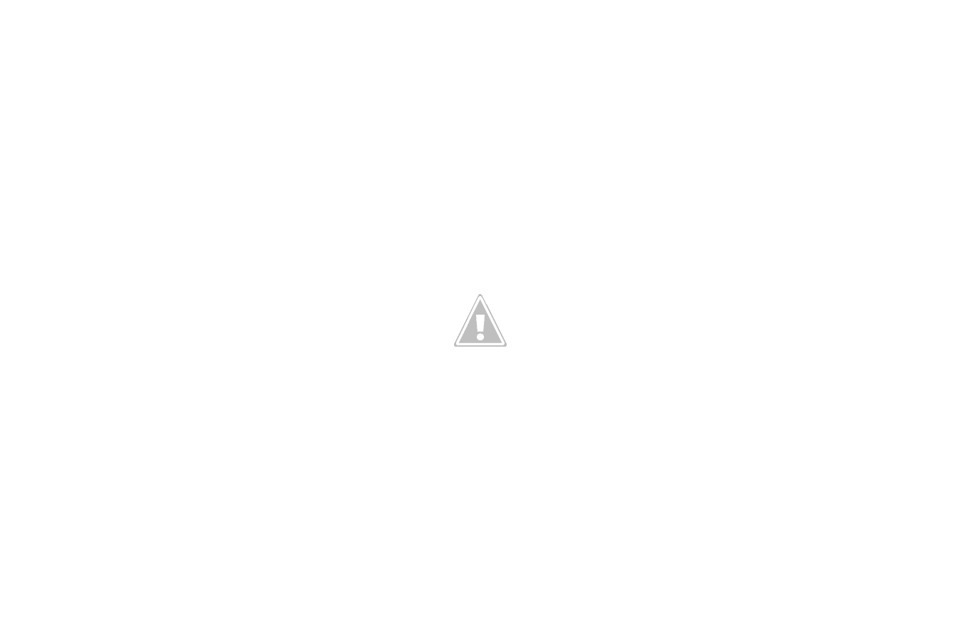 _DSC4982.png