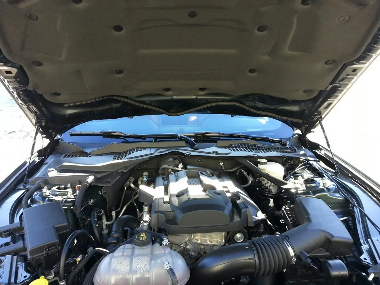 picture.webp