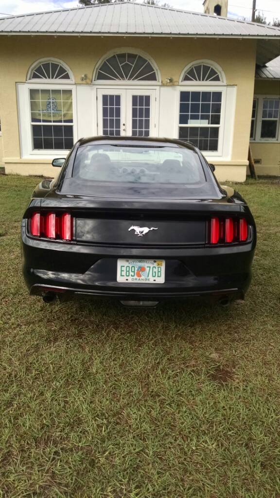 4de3002db2a9de157d3890820be23cc1.jpg