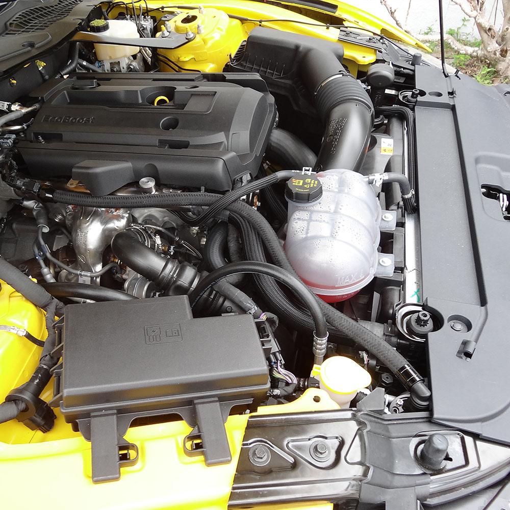 15-mustang-2-3-ecoboost-dual-valve-oil-catch-can-separator-8.jpg