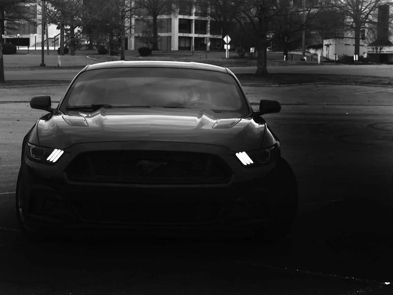 16066224952_d6d2aa1a98_c.webp