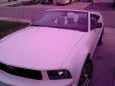 picture.webp