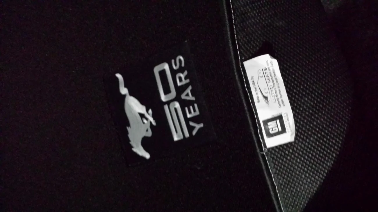 picture.webp