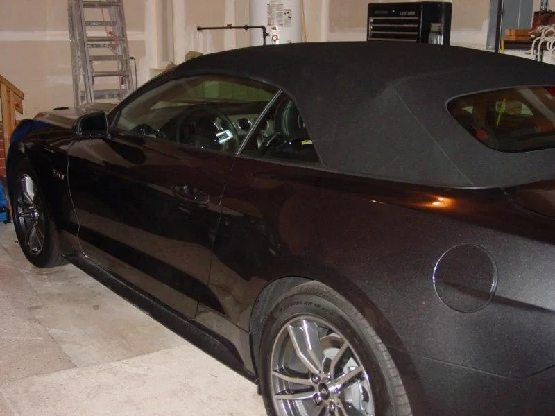 picture.webp
