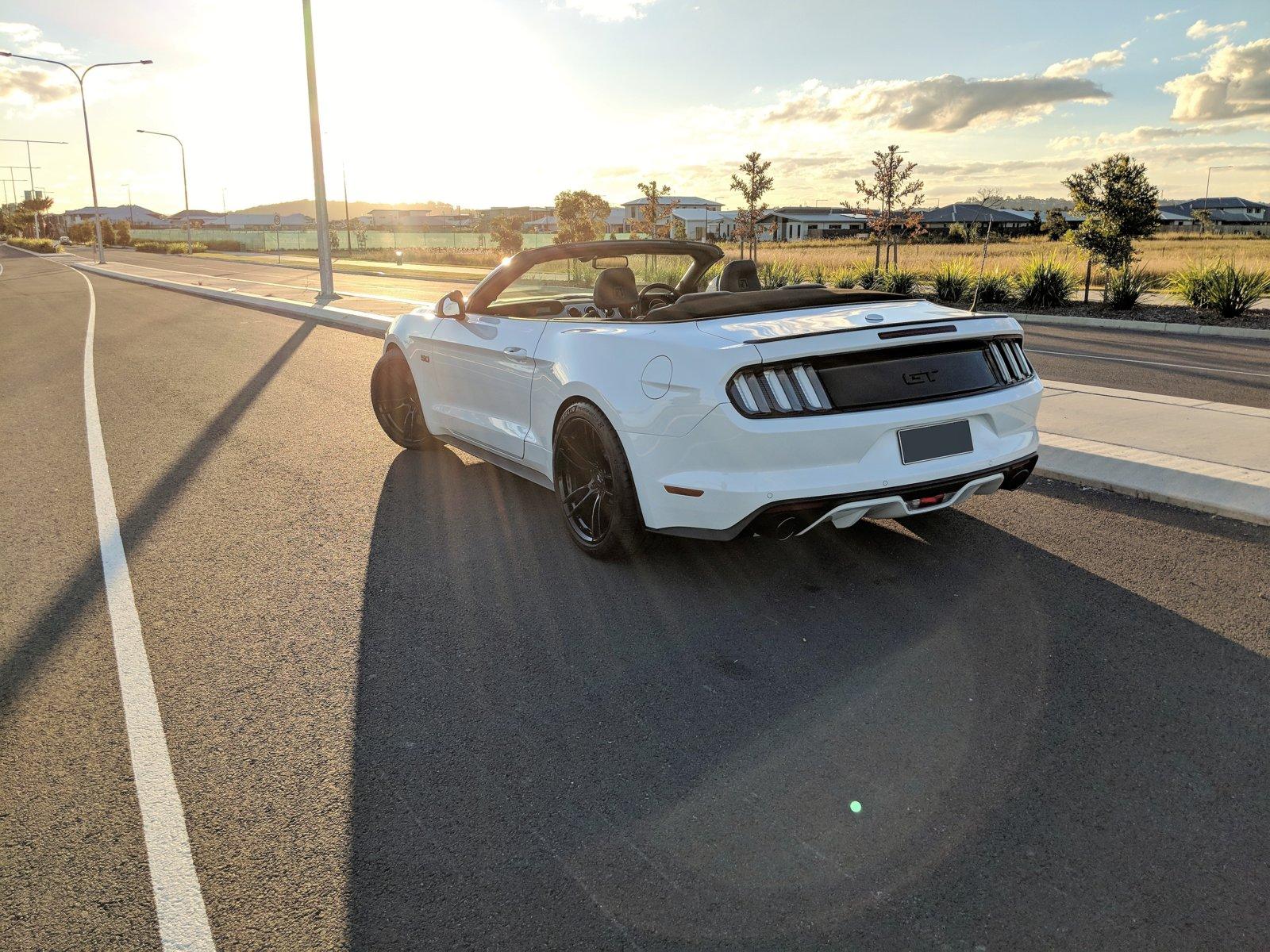 Rear-1.jpg