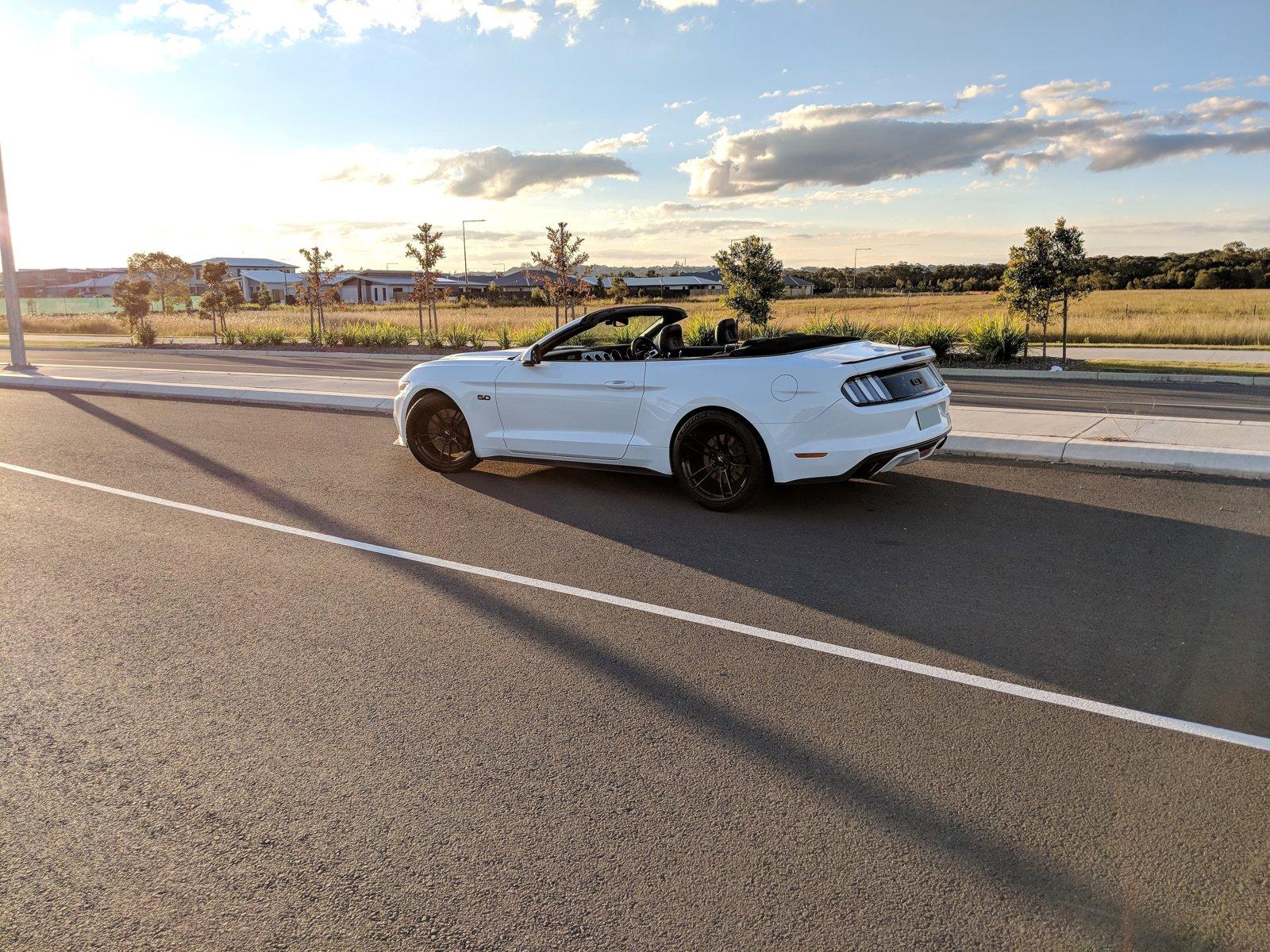 Rear-2.jpg