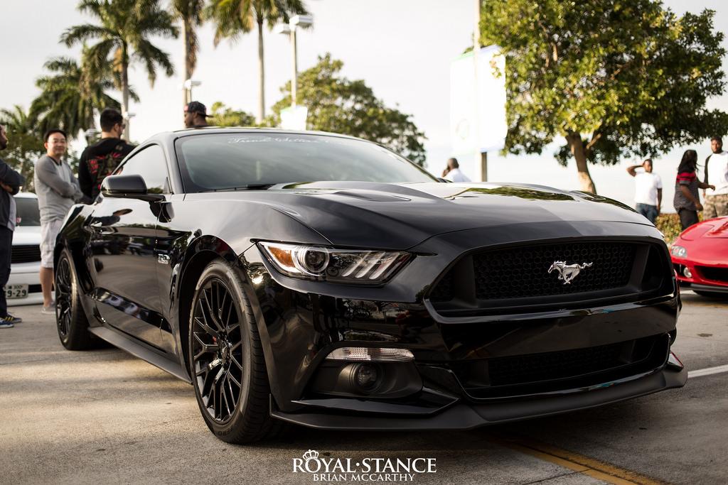 16192354489_c50343b1f1_b.jpg