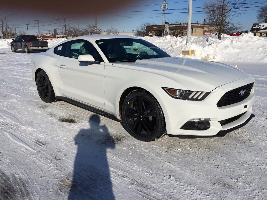 cdbc964f11c7d8947b4753adf285e0b0.jpg
