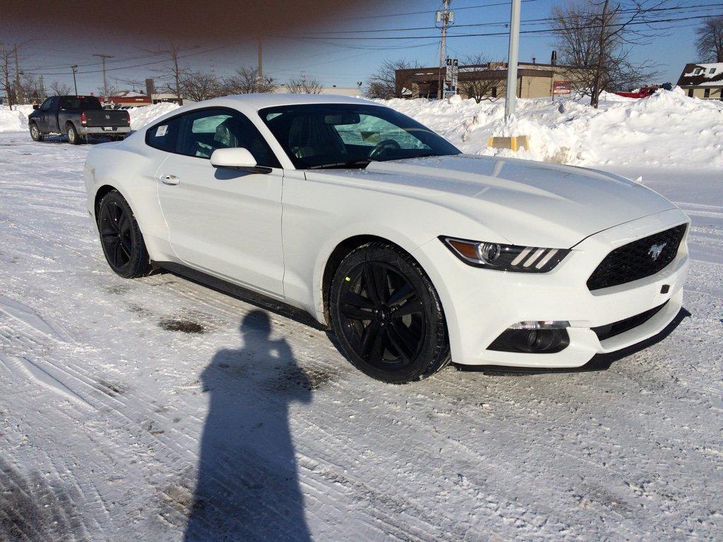 cdbc964f11c7d8947b4753adf285e0b0.jpg