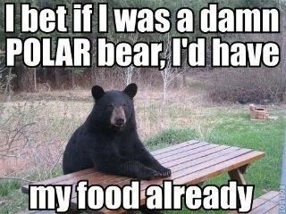 a442e99796607ef7997128ddd2859cee.webp