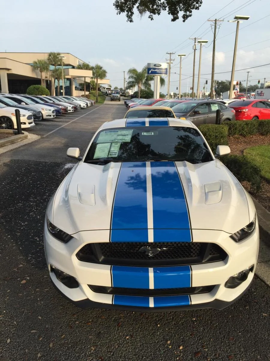 Stang Stripes..webp