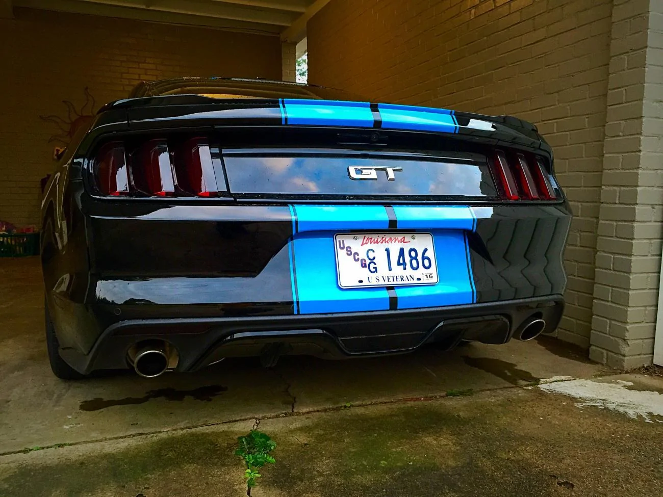 plate.webp