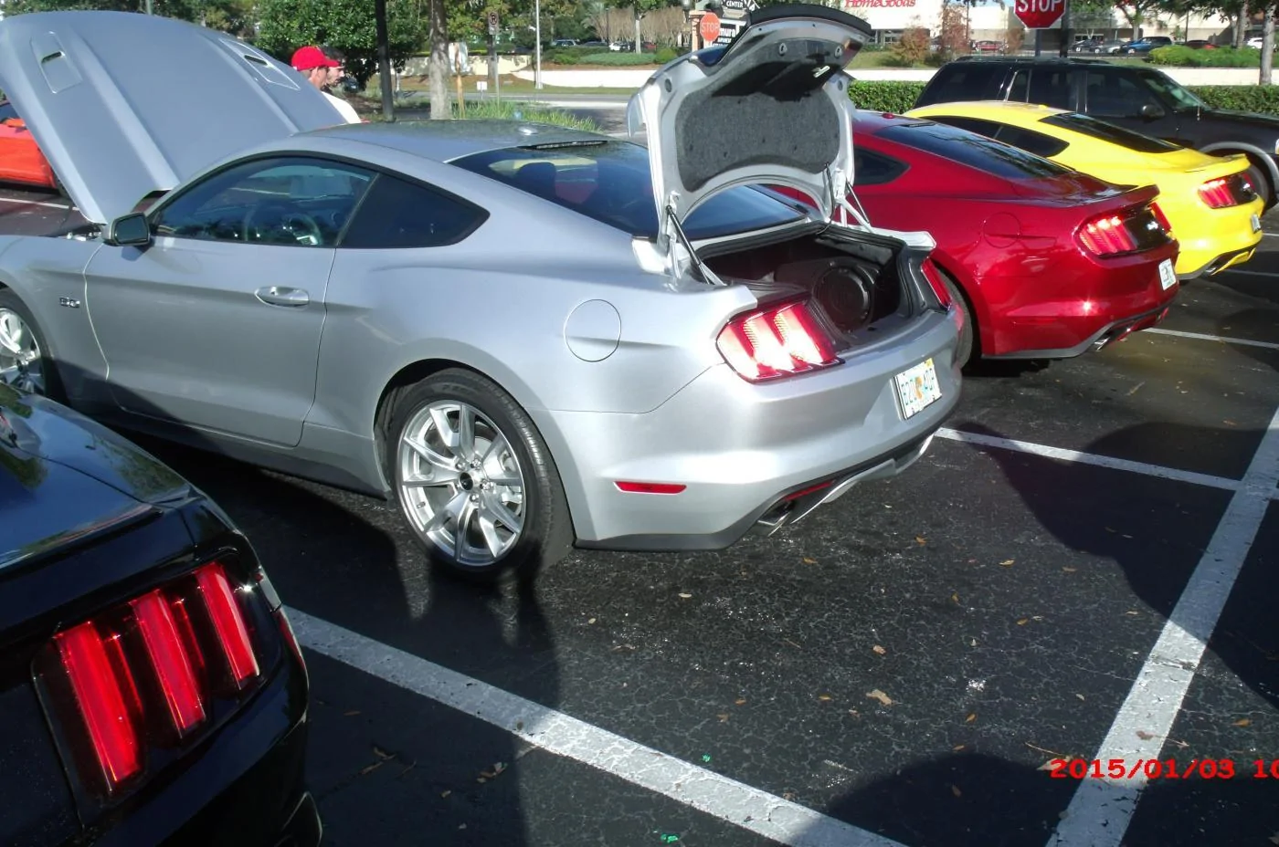 IngotGT_50th_7.webp