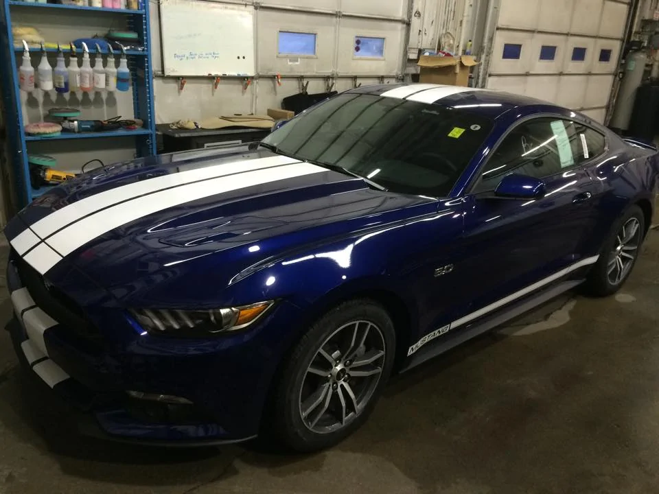 mustang pic.webp
