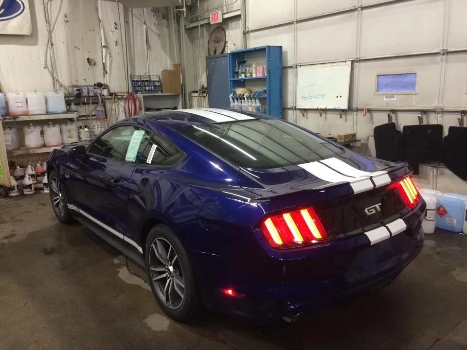 mustang pic 2.webp