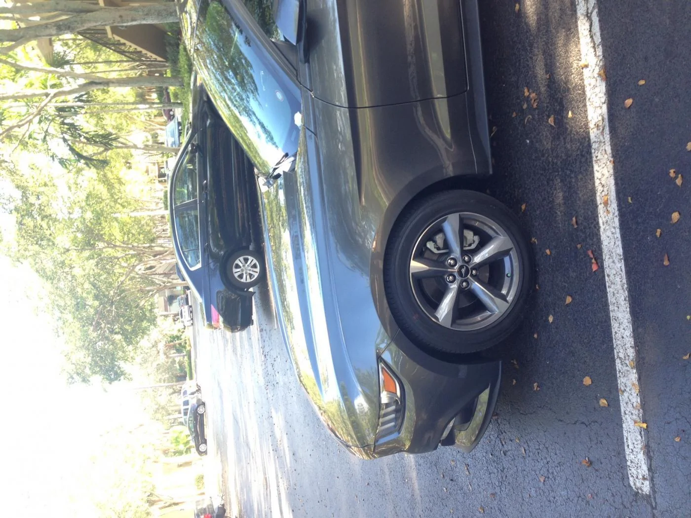 image3.webp