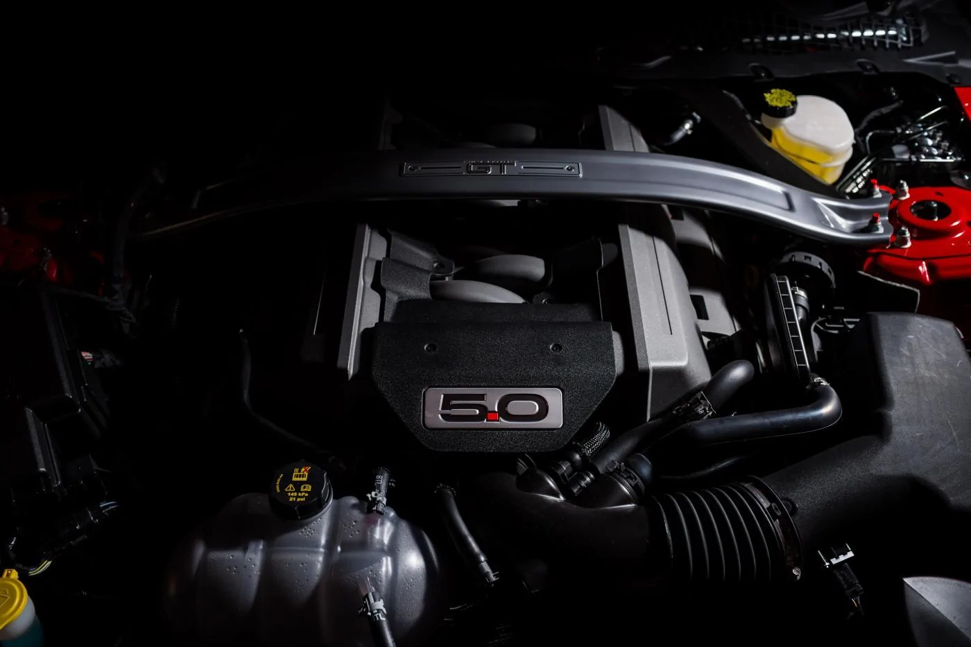 DAN_1728.webp