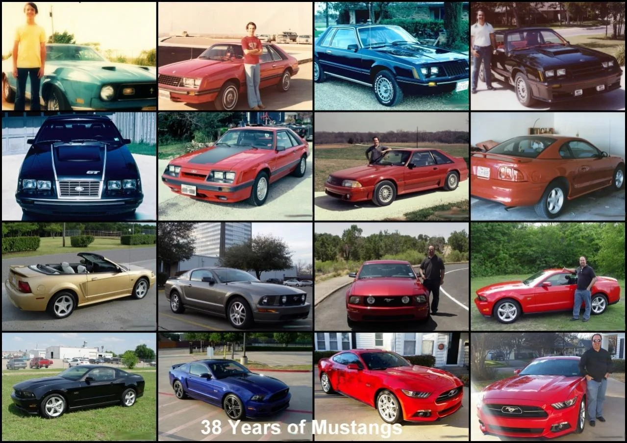 my_2015_mustang3-002_small.webp