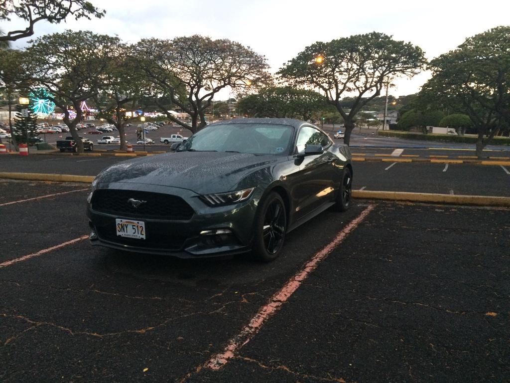 8dcf40c4a796eb33bc490b9cda39aee2.jpg