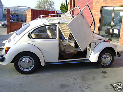 553205.jpg