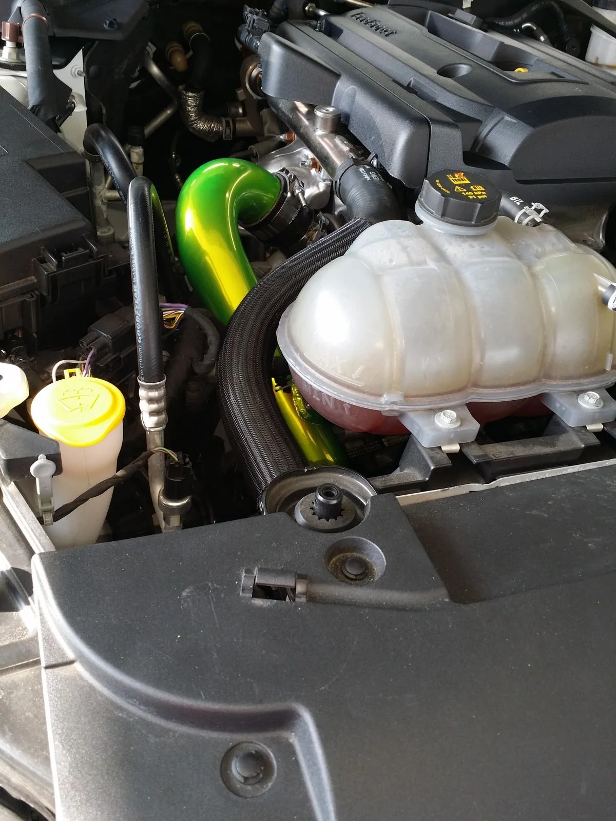 ZJ1XmJr.webp