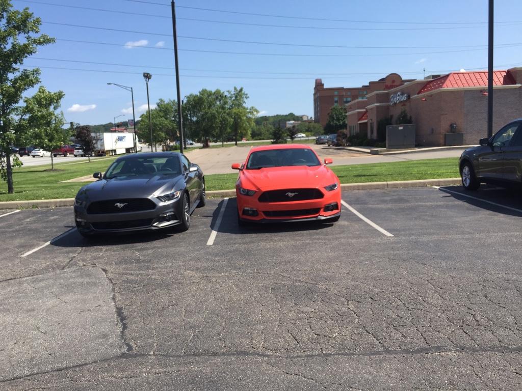 556494ff62f3b86c68afe7ff4f9c4e44.jpg