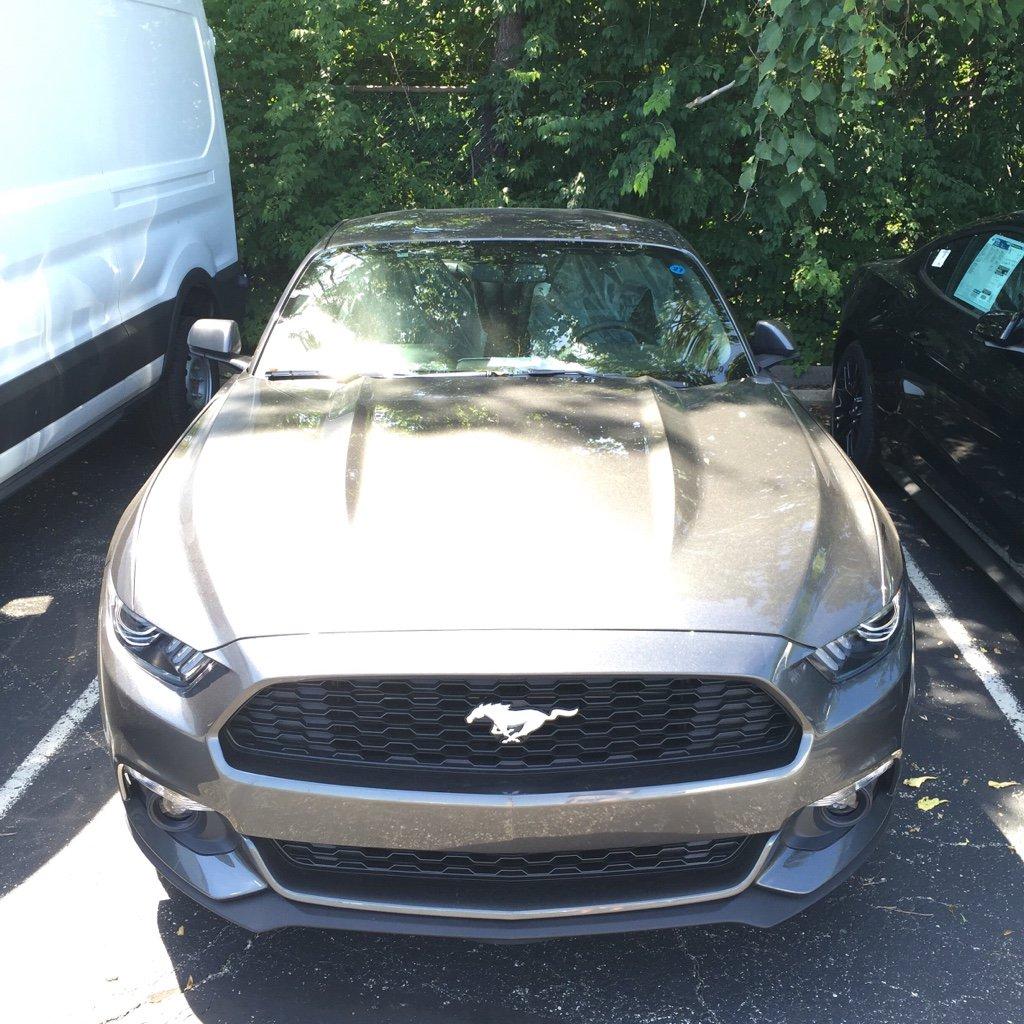f1309d131dbfa804c0365c13a8d3425b.jpg