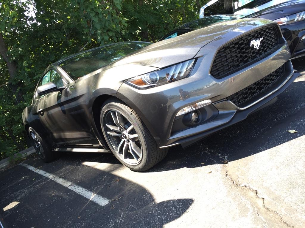 56fafeb3297fef30eeb16f2f0f2d2c43.jpg