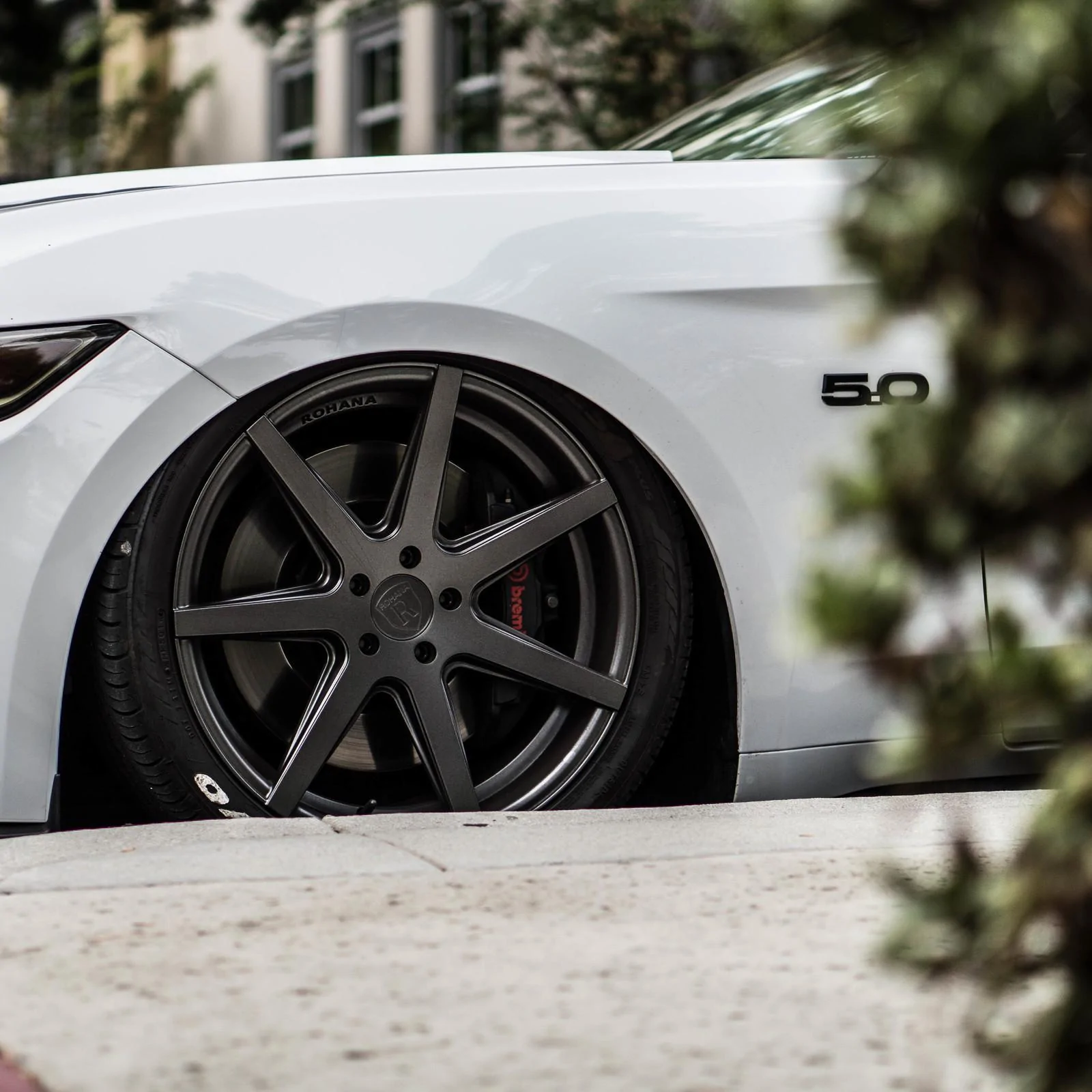 vq9eS3e.webp
