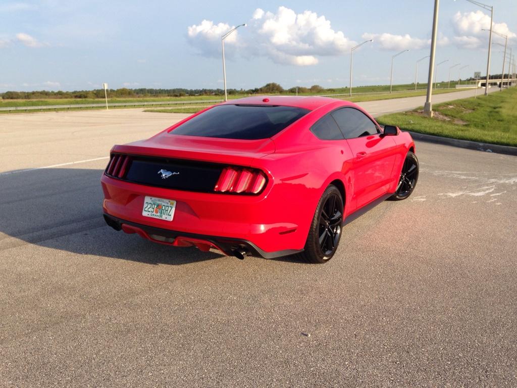 e955fdd18befdcd15cad5298fb33da1e.jpg
