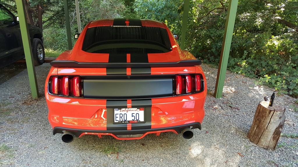 rear_zpsushpjr7l.jpg