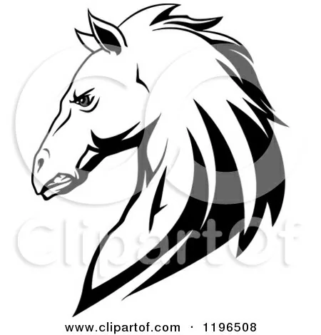 ce428b81d61b3ffa0e5bf135ac8dba25.webp