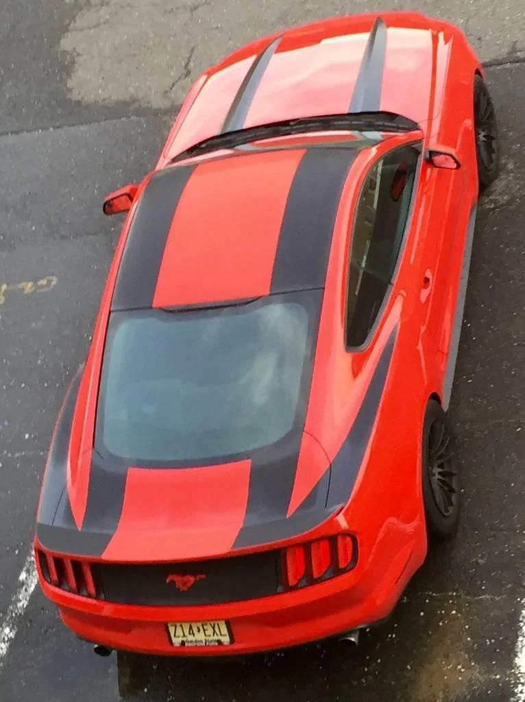 image_zps2q1g8b8j.webp