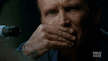 1zwge93.gif