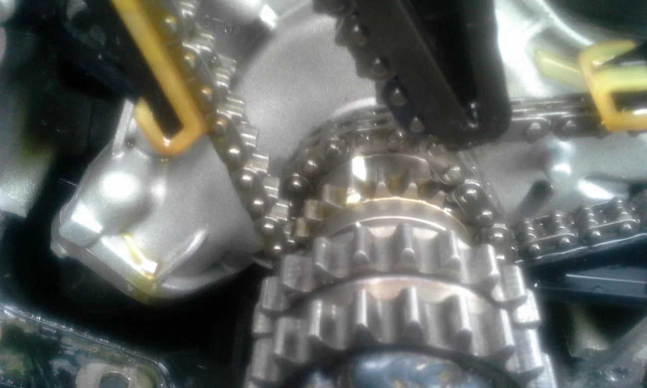 picture.webp