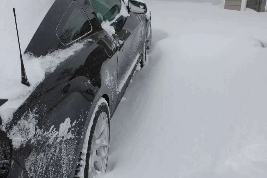 BLIZZARD2015028_zpsb35cc53b.webp