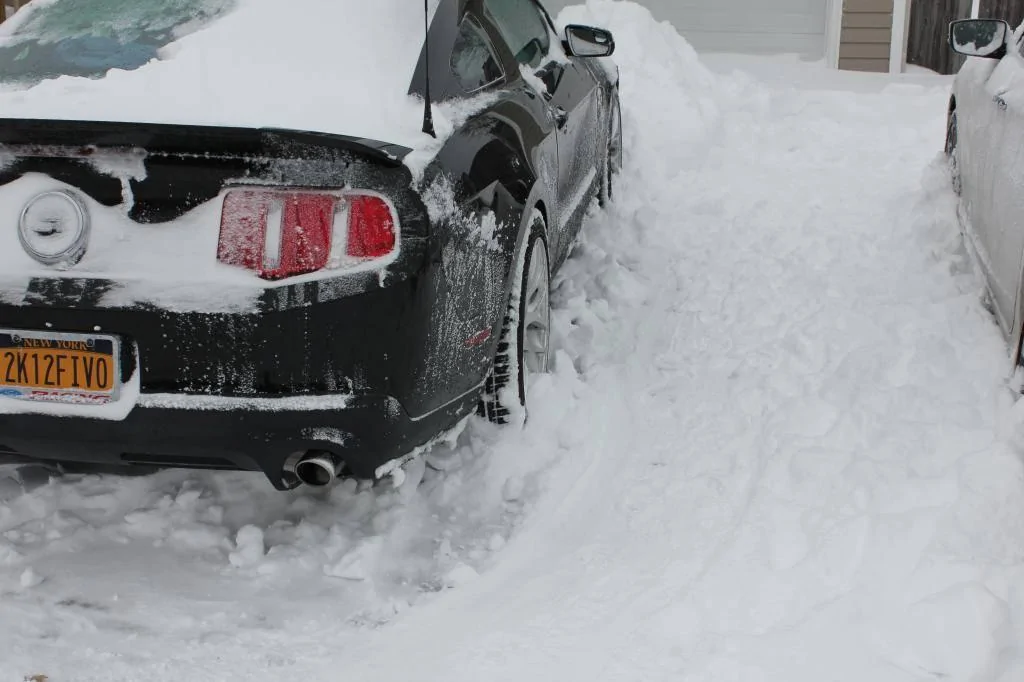 BLIZZARD2015033_zpsa5318d0c.webp