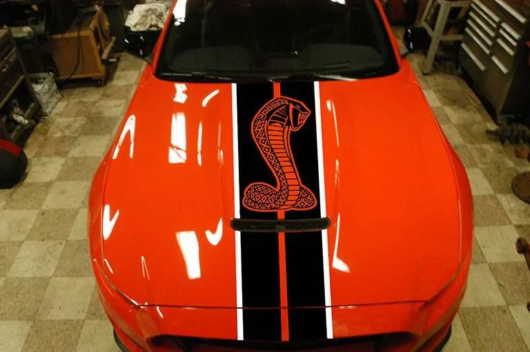 Hood-snake-stripe_zpskvmrcizf.webp