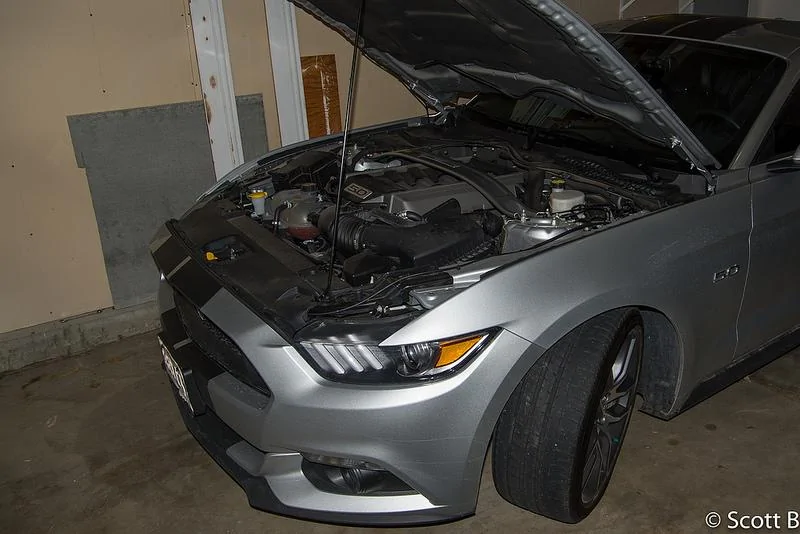 25025778571_eb9c652a9b_c.webp