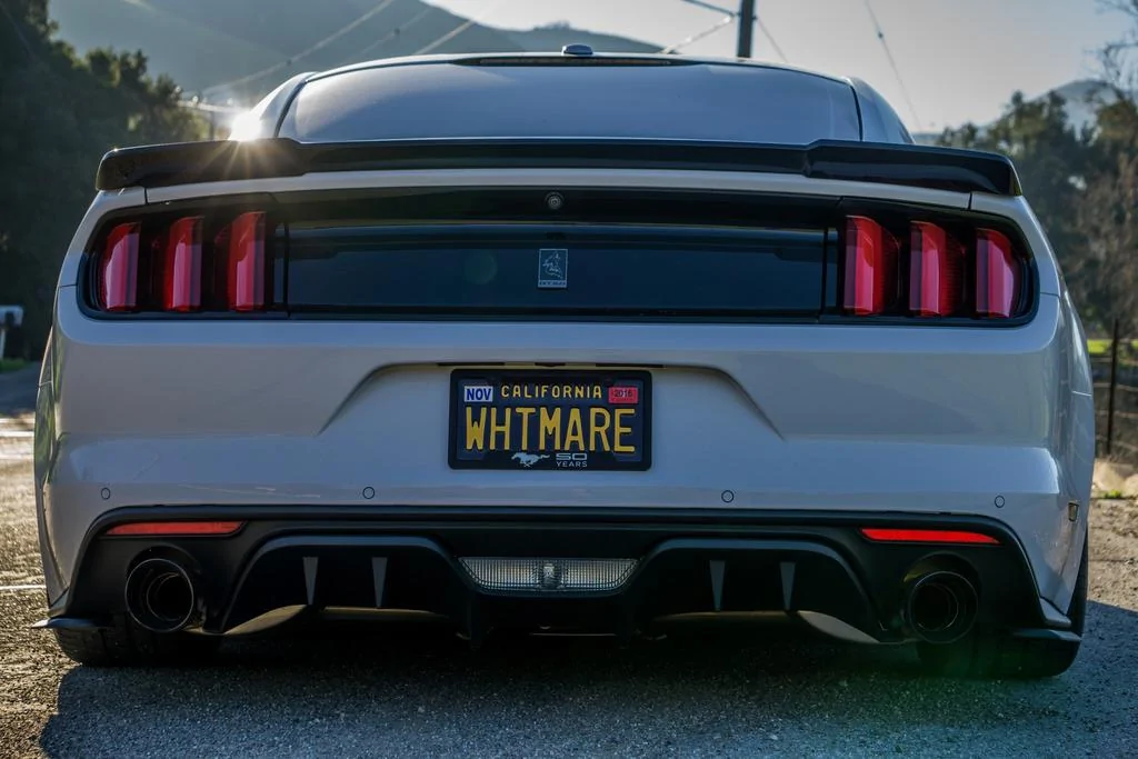 RearMoneyShot.webp