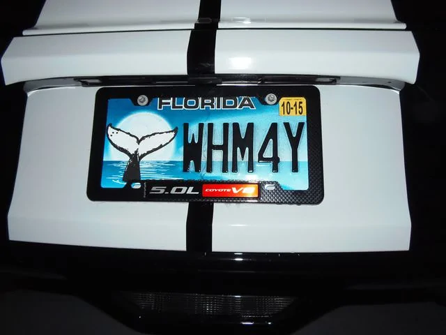 H7SSgMGl.webp