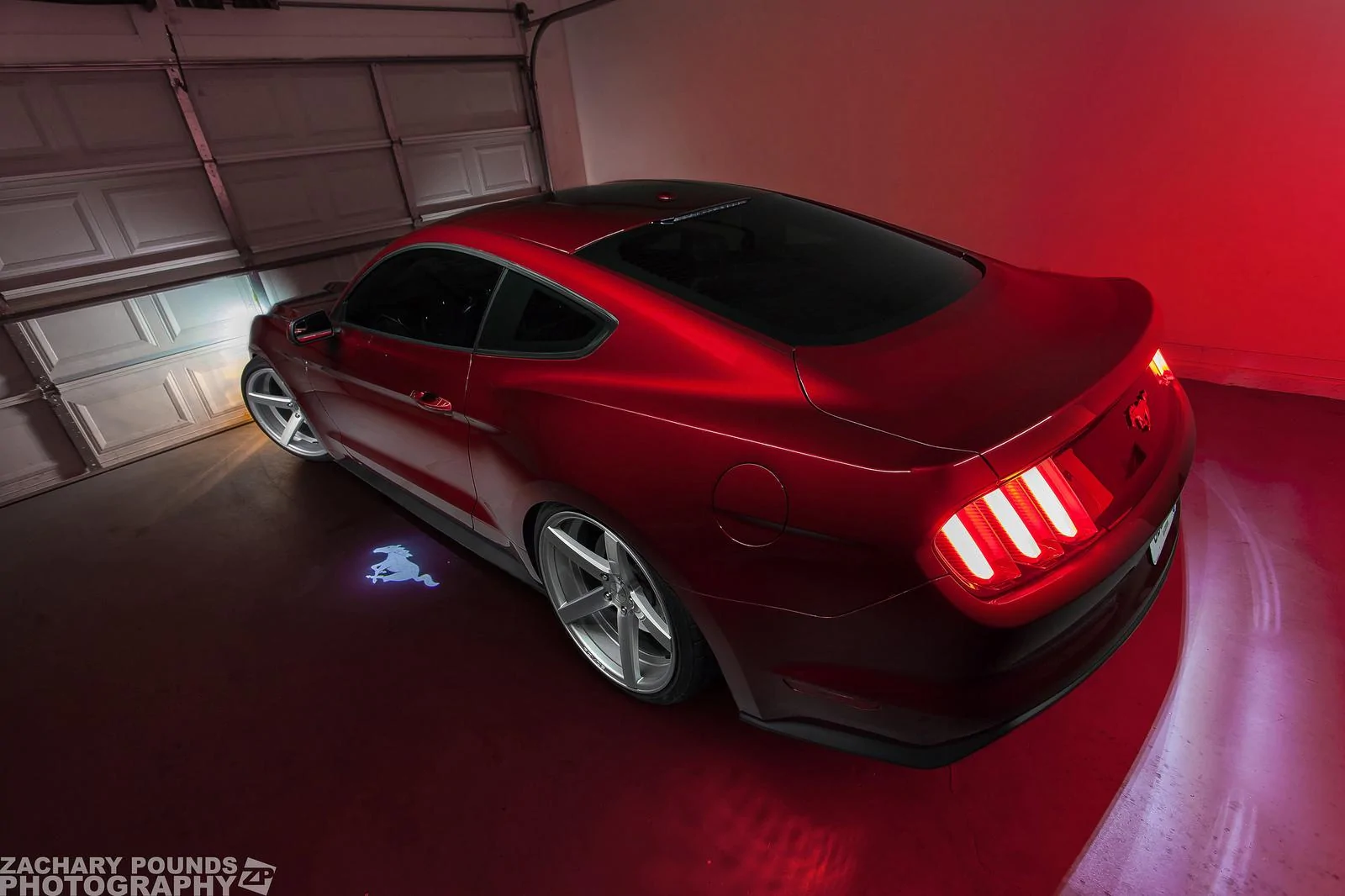 24137919383_010d3ee7ac_h.webp